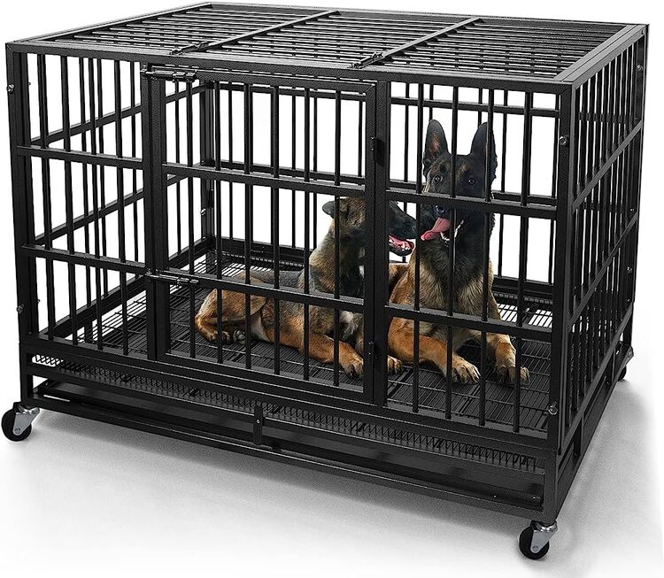 Best Dog Crates for Separation Anxiety